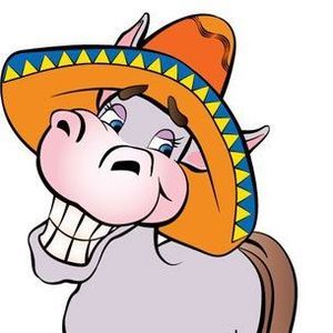 Meet your Posher, Mike